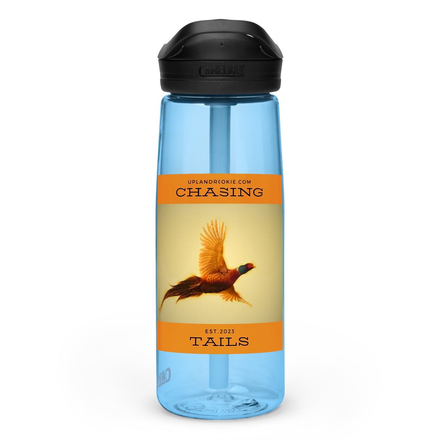 Chasing Tails Sports water bottle