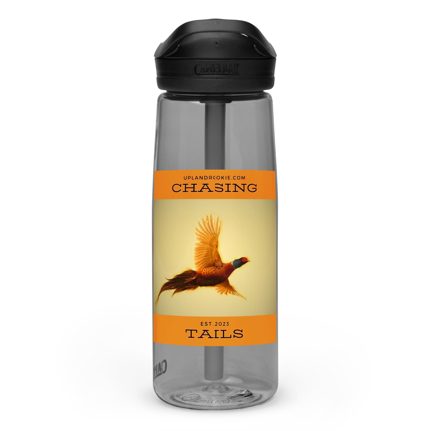 Chasing Tails Sports water bottle