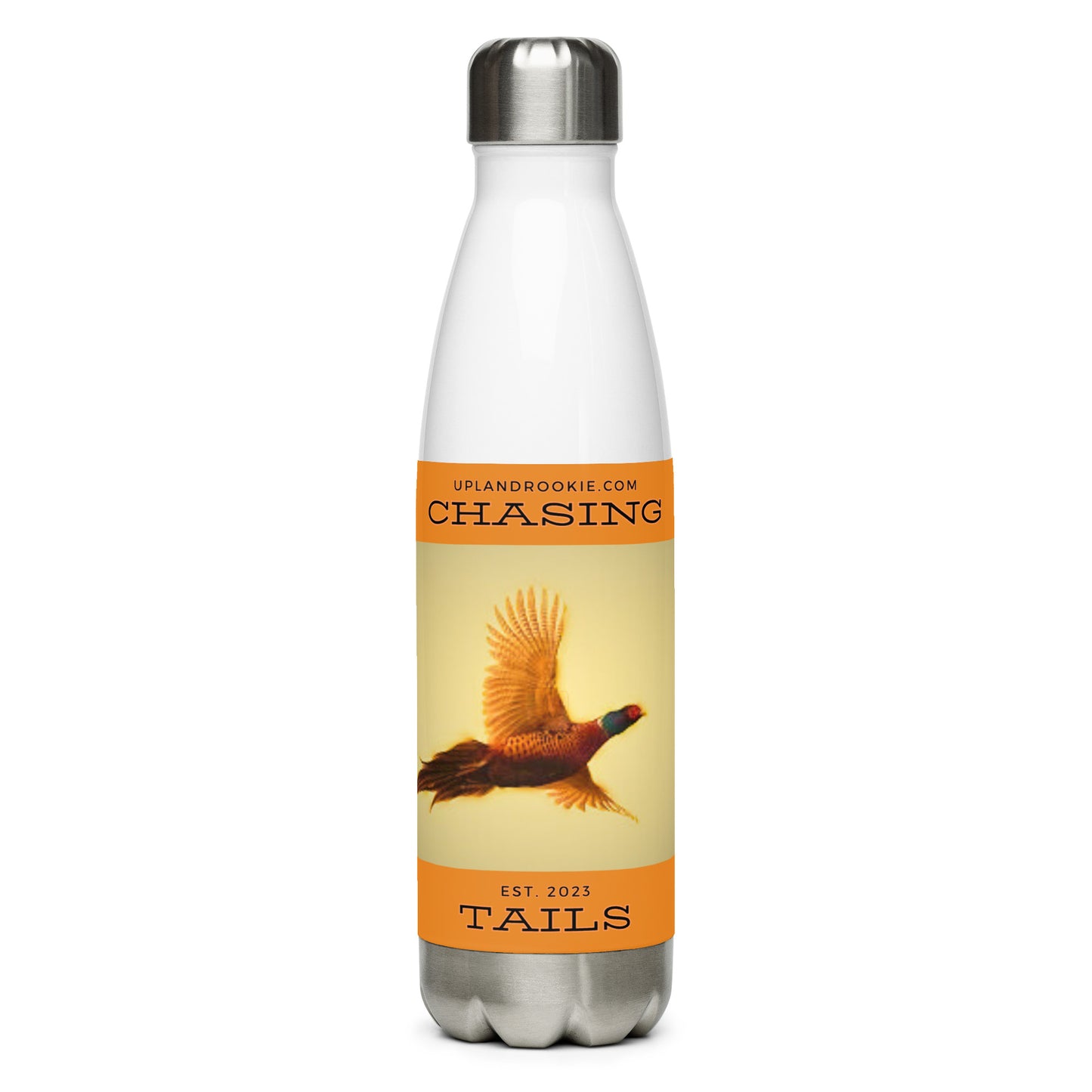 Stainless steel water bottle