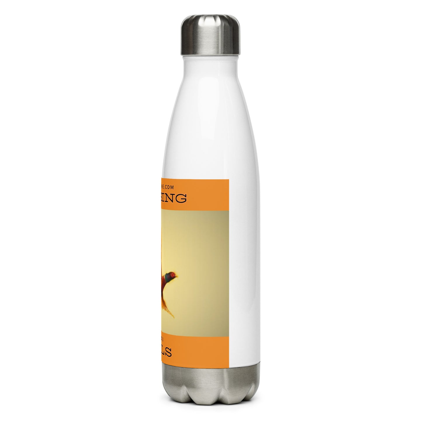 Stainless steel water bottle